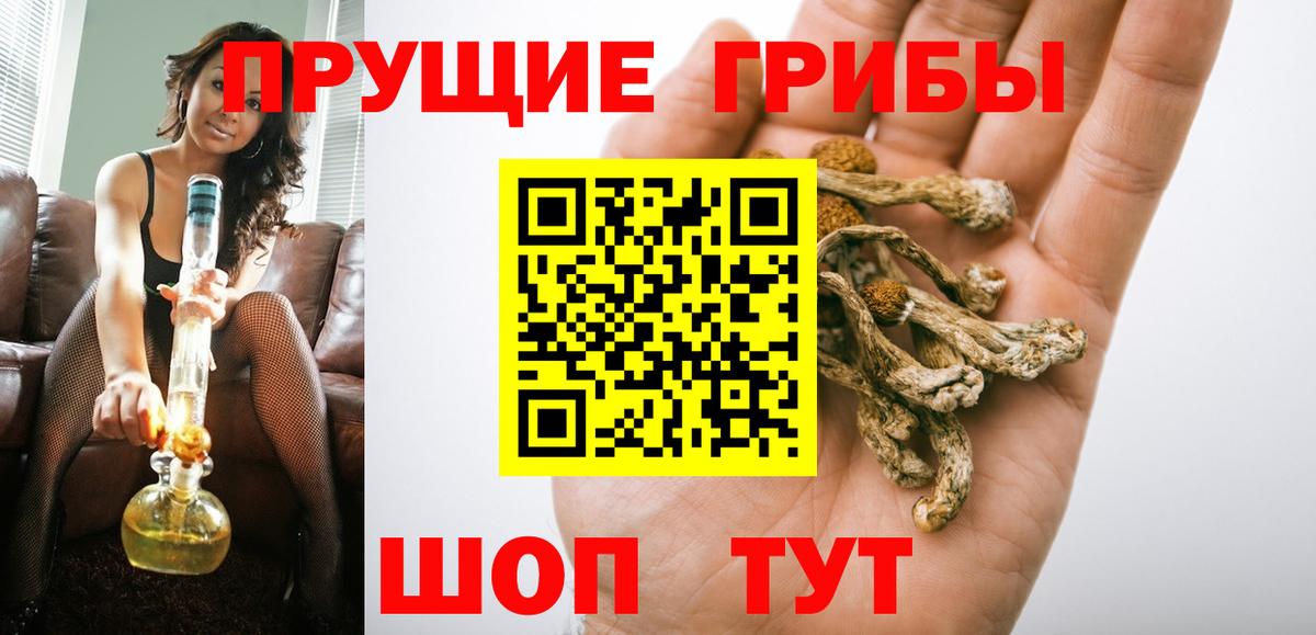 цены наркотик  Галлюциногенные грибы GOLDEN TEACHER  Вход с VPN  Кунгур 